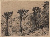 KG 18104
<br/>
Heuvels bij Aluinkrans met Bosmansrivier
<br/>
<em>Nachenius, Jan Coenraad (1890-1987)</em>